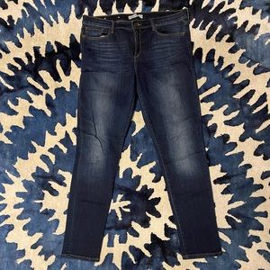 Banana Republic Premium Denim Jeans